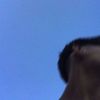 sokitana1