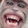 ecanamnam