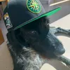 bananajuice74