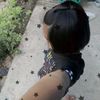 fahsii2556