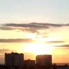 robabon