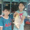 nguyen.im.phng