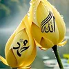 iqbal.quresh89