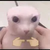 etilyrity_75