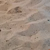 mehdiart2