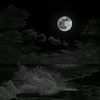 wd___hassan