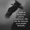 lasupercatracha79