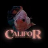 Califor Betta