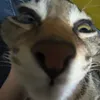 uinna______sakurando