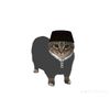farhan_old123