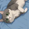 gatitotheo_
