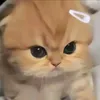 quyn.nguyn0908