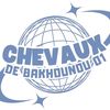 chevaux_de_bakhounou1