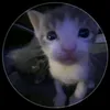 nnnovay