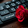 ahsanejaz431