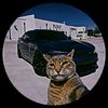 paul_111010