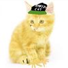 jacobe_xp