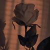 nada_ell884
