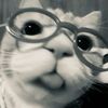 this.izar0