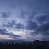 henry_sen7