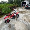 alpin