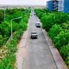 mohakhadar08