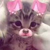 lilly_xlolo