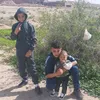 abde_mh12