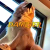 damzterfn