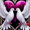 md.ashkasl4