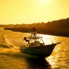 pongues24