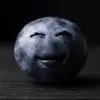 edgar24951