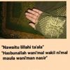 nasution_8282