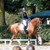 fuglsang.dressage_