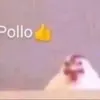 bollopollo03