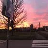 sofia320.0