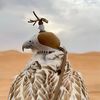 khaliid_15