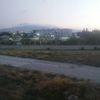 yasardilki