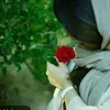 asita__nm