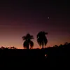 ivo_mariana3008