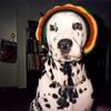 scooby_doo_co