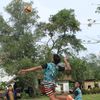 ranggagustiwana