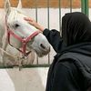 shrouqmagdi726