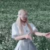 ztorm_