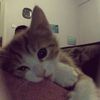 itzhana_8