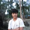 dgbrazul