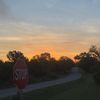 cayden_0211
