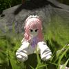 zavinaxqn