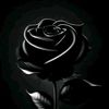 nissha587