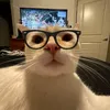 hg_binh95